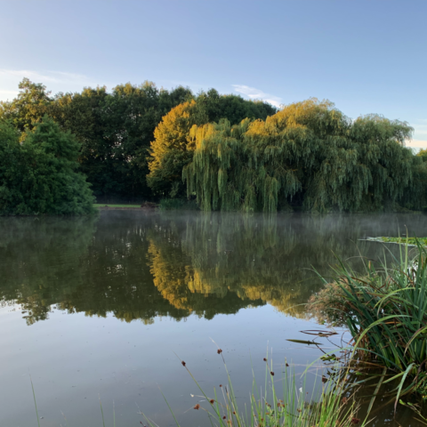 Maunsel Ponds