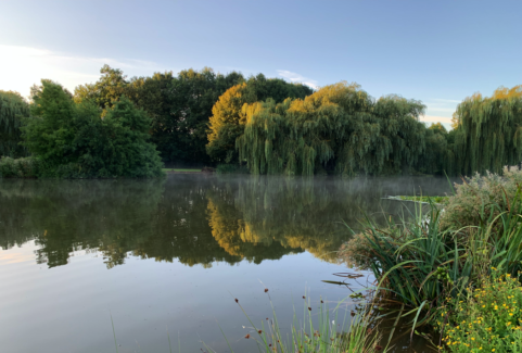 Maunsel Ponds