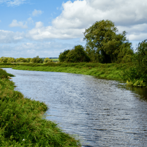 River Tone