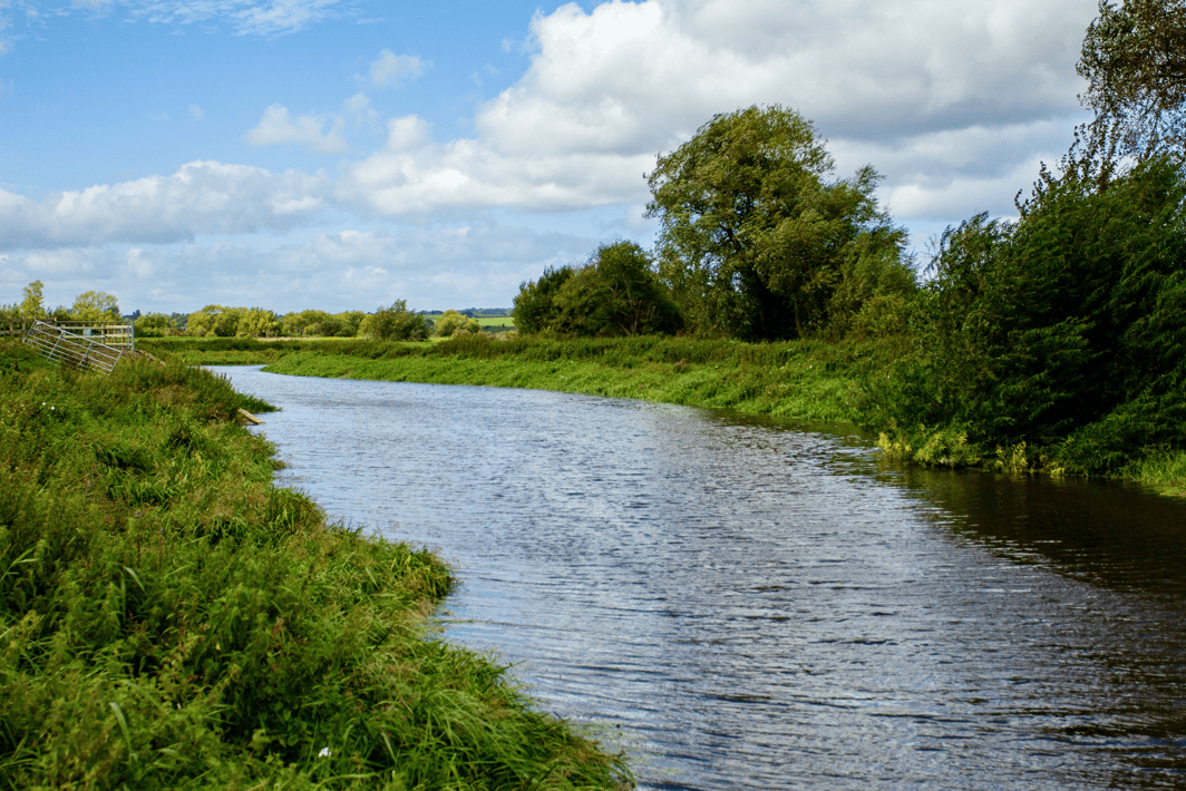 River Tone Taunton Angling