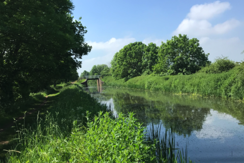 Taunton & Bridgwater Canal