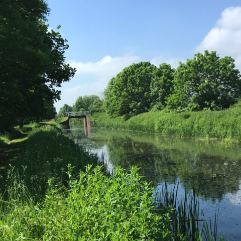 Taunton & Bridgwater Canal