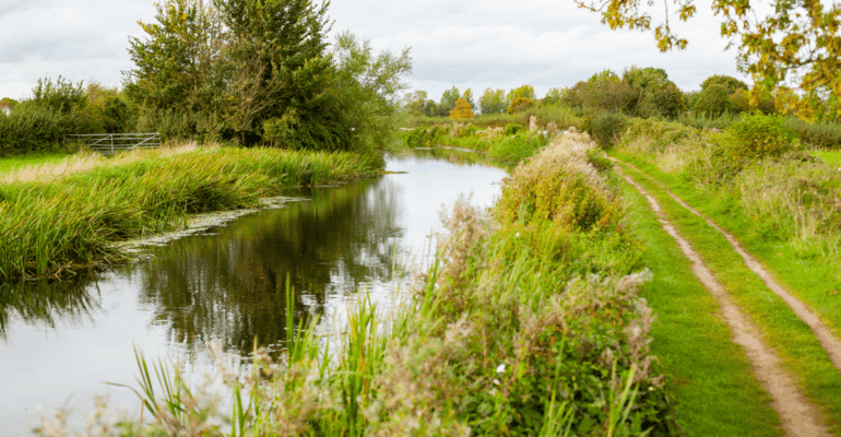 Canal & Rivers Trust Let’s Fish Taunton – Remaining Events for 2026